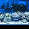 Tank14