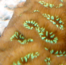 DSC01853