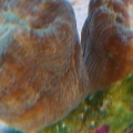 DSC01855