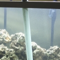 Sand funnel