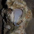 The epoxy in the hole