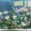 Kedron's tank