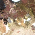 DSCF0053