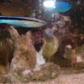 DSCF0054