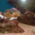 DSCF0055