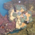DSCF0056