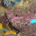 DSCF0060