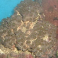 DSCF0062