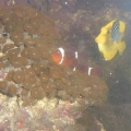 DSCF0064