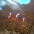 DSCF0065