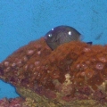 dscf0067