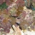 dscf0072