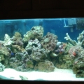My 75g