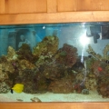 My 75g