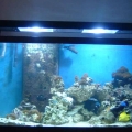 dscf0086