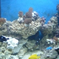 dscf0087