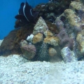 DSCF00901