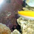 DSCF00931