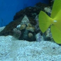 DSCF0095