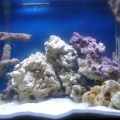 My 10g Nano