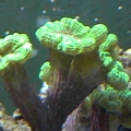 DVC00101