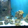 DSCF0113