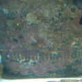 DSCF0116