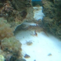 DSCF0117