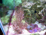 th_DSCN4033
