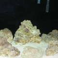 rocks