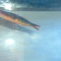 dscf00033