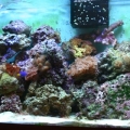 My Tank