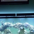 My tank in the works with the LR