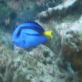 DSC03051