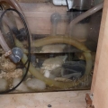 The insides of my aquarium