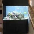 An overview of my 150 gal aquarium