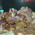 DSCF00061
