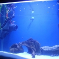 125g