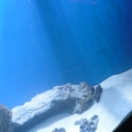 AHHHHH!! Scratches on my tank!!