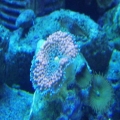 PC060575
