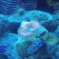 PC060577