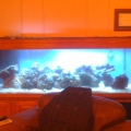 My Starter Aquarium