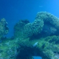 Anchor