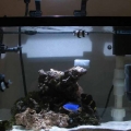 tankdone1