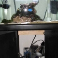 tankdone2