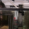 My 30 gal sump/Refuge