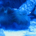 Tron's 30 gal at 4 months