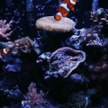 my 30gal bow