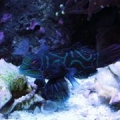 my 30gal bow