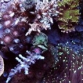 my 30gal bow
